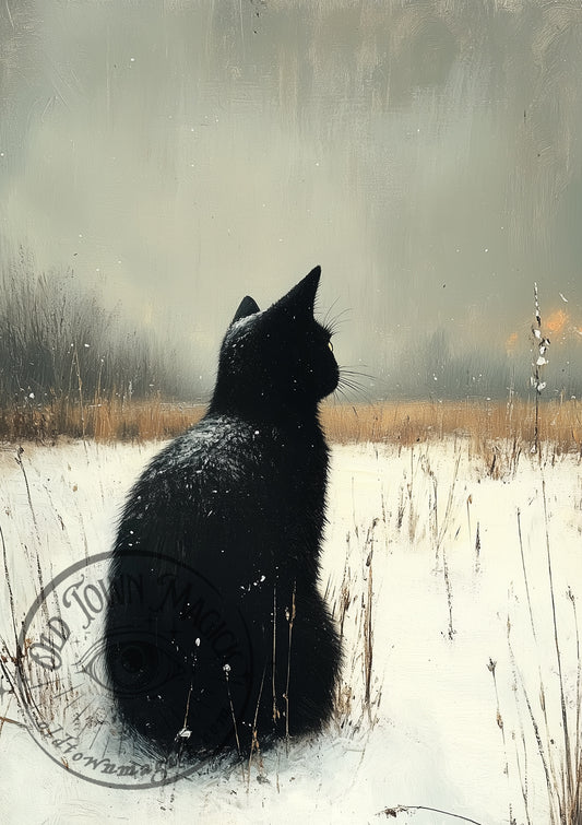 Black Cat In The Snow