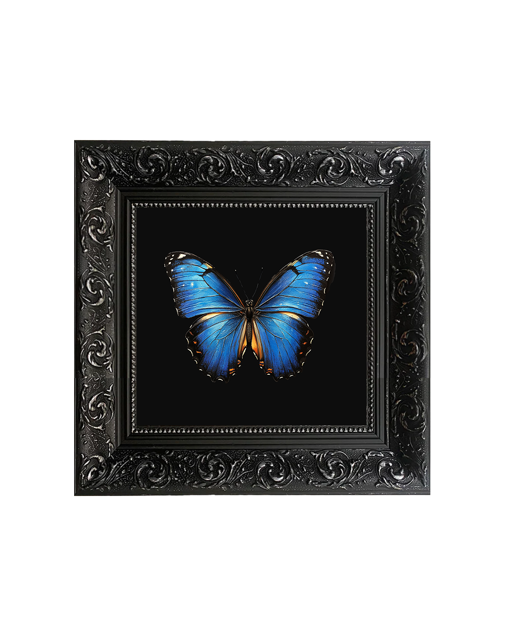 Blue Morpho Butterfly, Framed Square Print (15cm x 15cm)