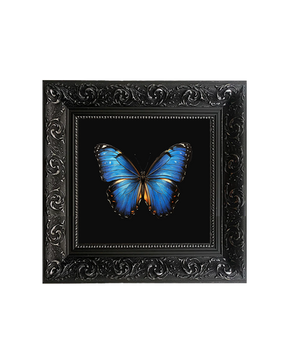 Blue Morpho Butterfly, Framed Square Print (15cm x 15cm)