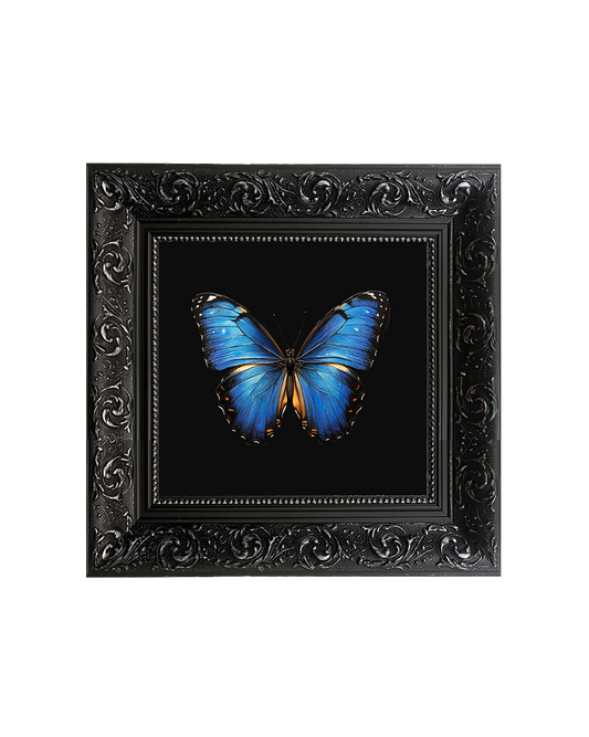 Blue Morpho Butterfly, Framed Square Print (15cm x 15cm)