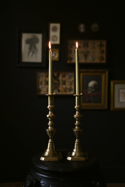 Antique Brass Candle Sticks (Pair)