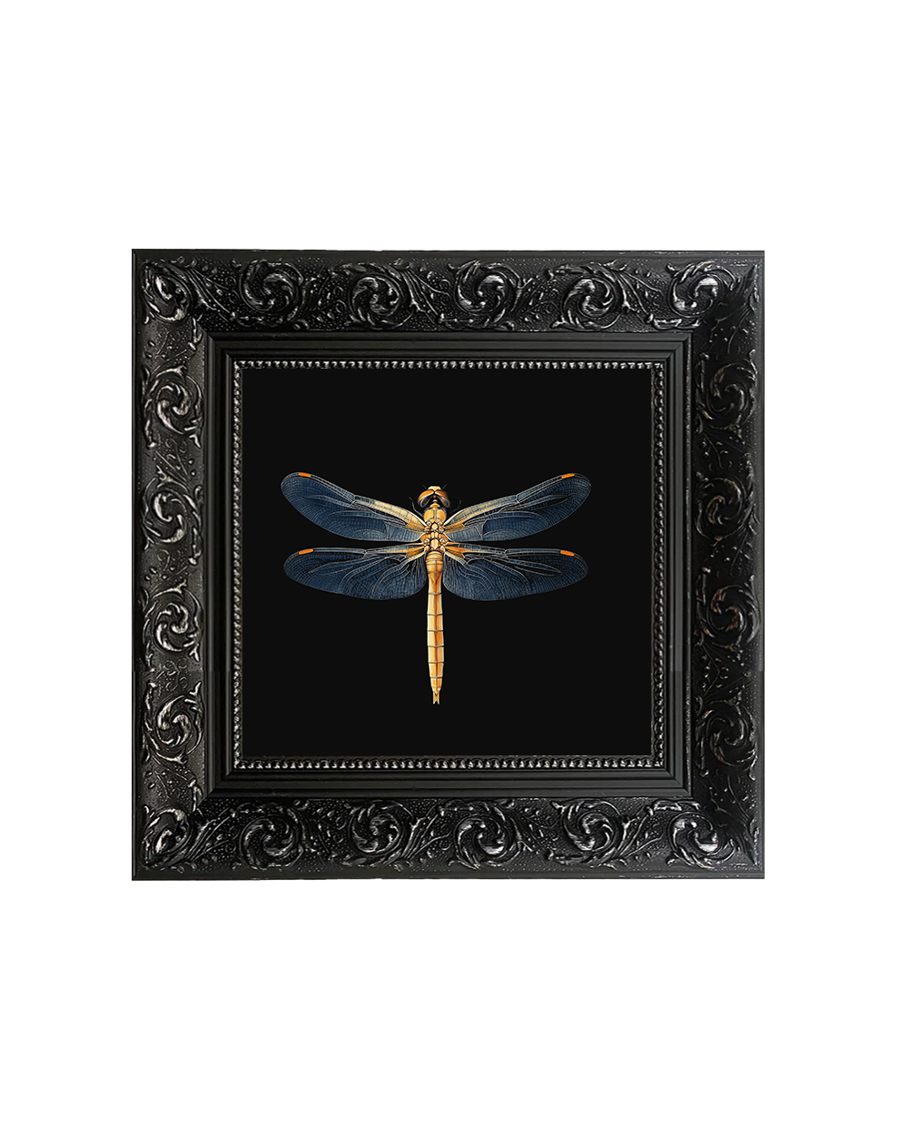 Golden Dragonfly, Framed Square Print (15cm x 15cm)