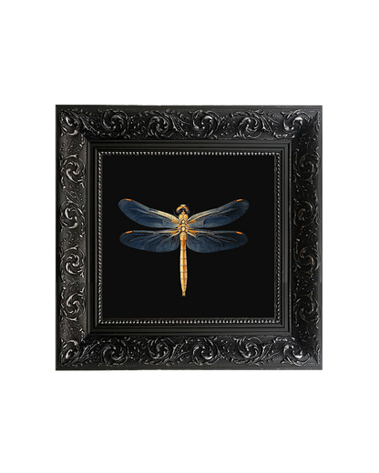 Golden Dragonfly, Framed Square Print (15cm x 15cm)