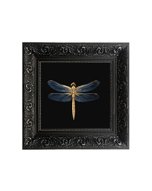 Golden Dragonfly, Framed Square Print (15cm x 15cm)