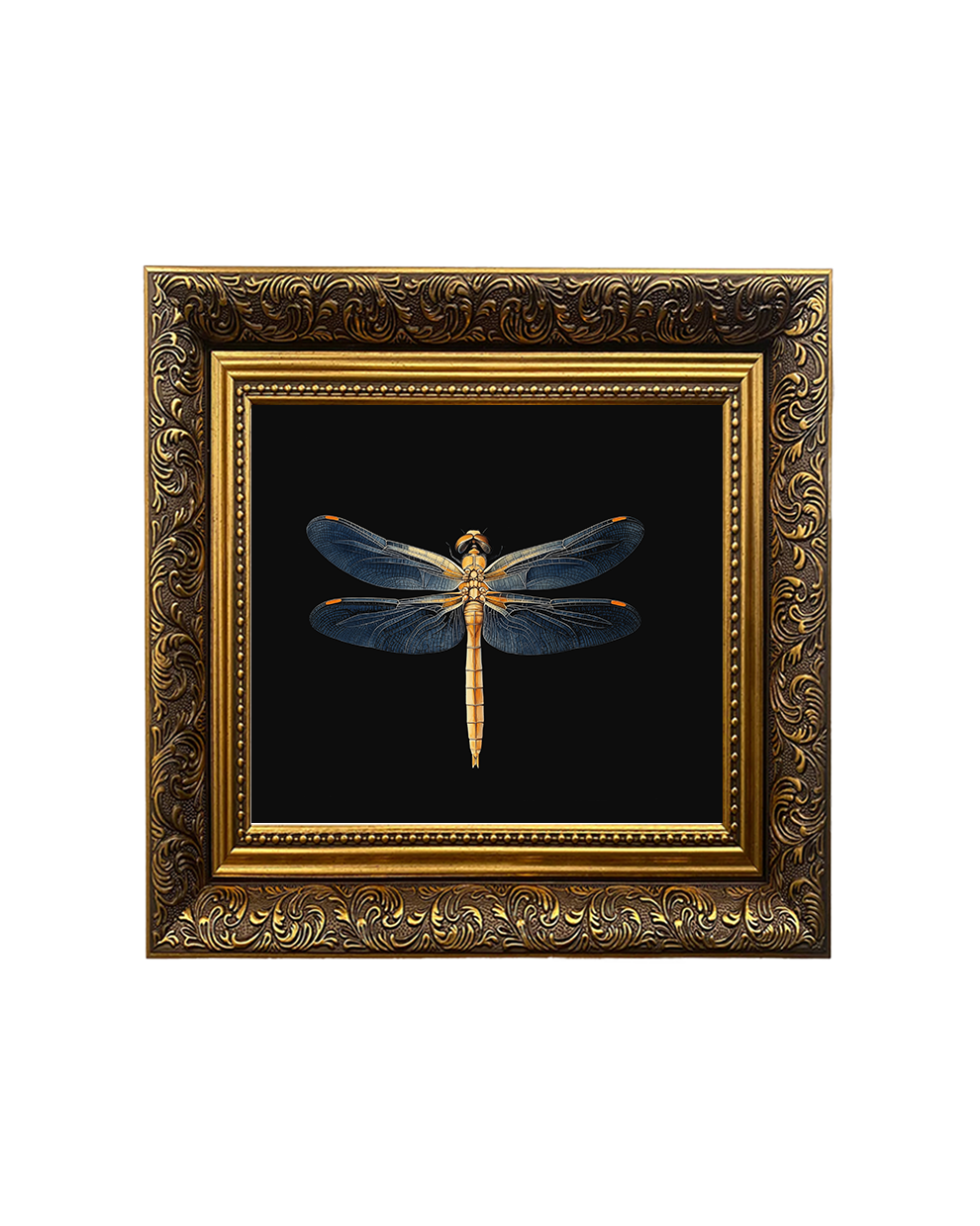 Golden Dragonfly, Framed Square Print (15cm x 15cm)