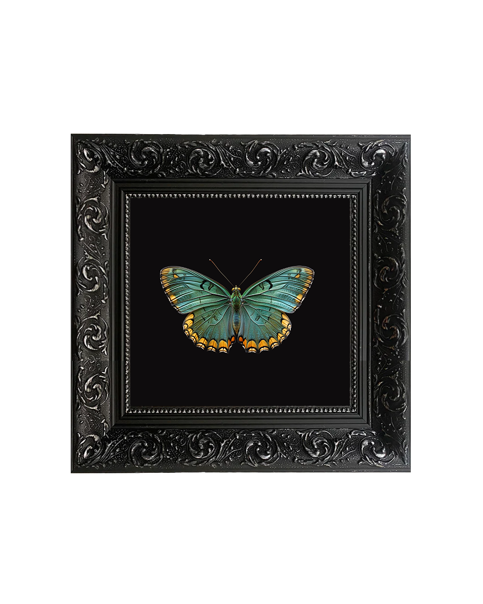 Green Butterfly, Framed Square Print (15cm x 15cm)