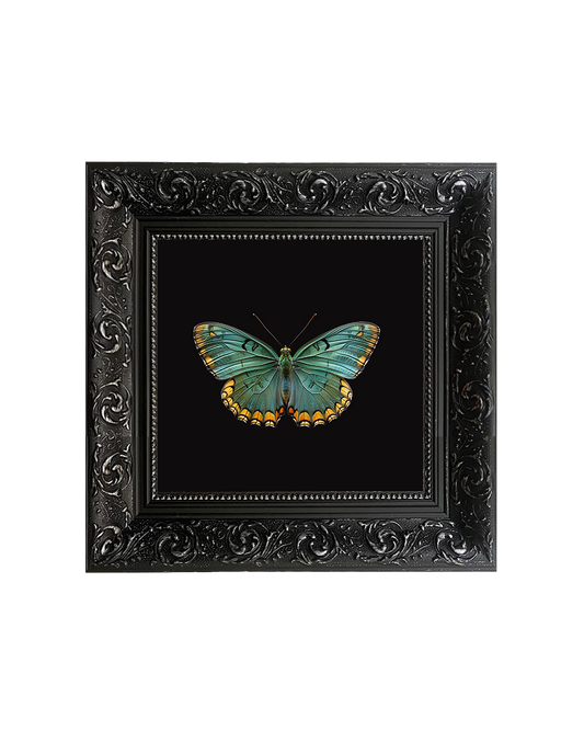 Green Butterfly, Framed Square Print (15cm x 15cm)