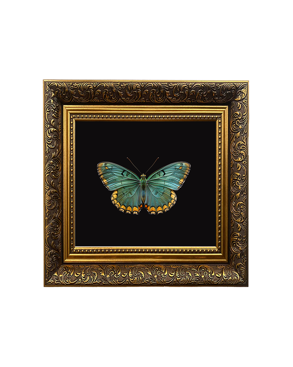 Green Butterfly, Framed Square Print (15cm x 15cm)