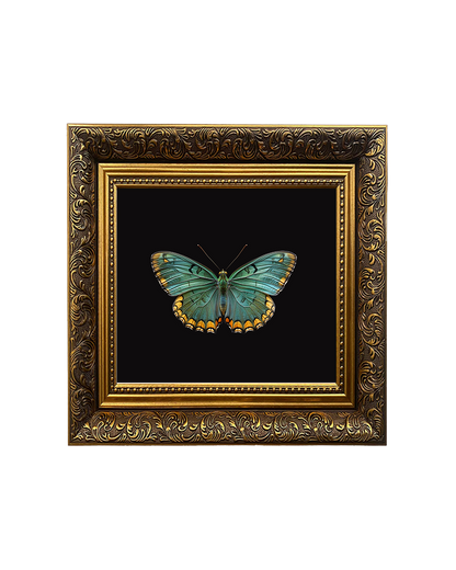 Green Butterfly, Framed Square Print (15cm x 15cm)