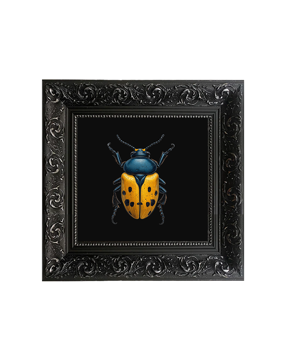 Hercules Beetle (Dynastes hercules), Framed Square Print (15cm x 15cm)