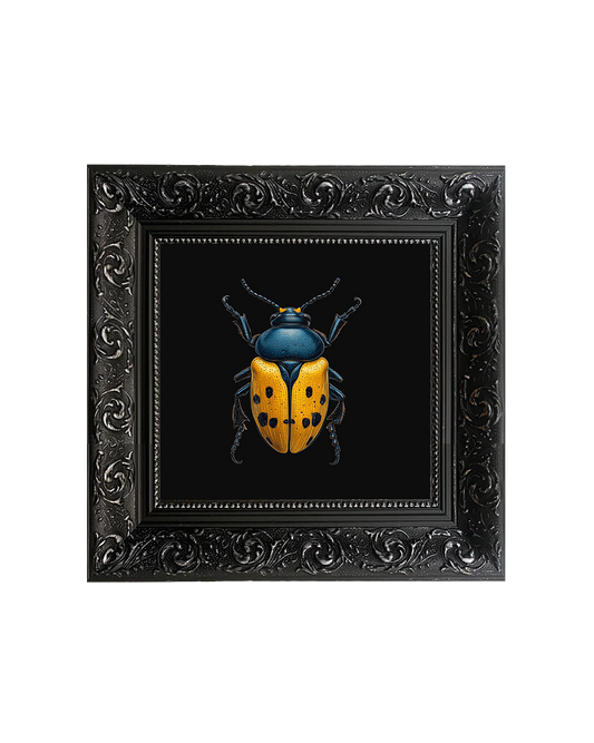 Hercules Beetle (Dynastes hercules), Framed Square Print (15cm x 15cm)