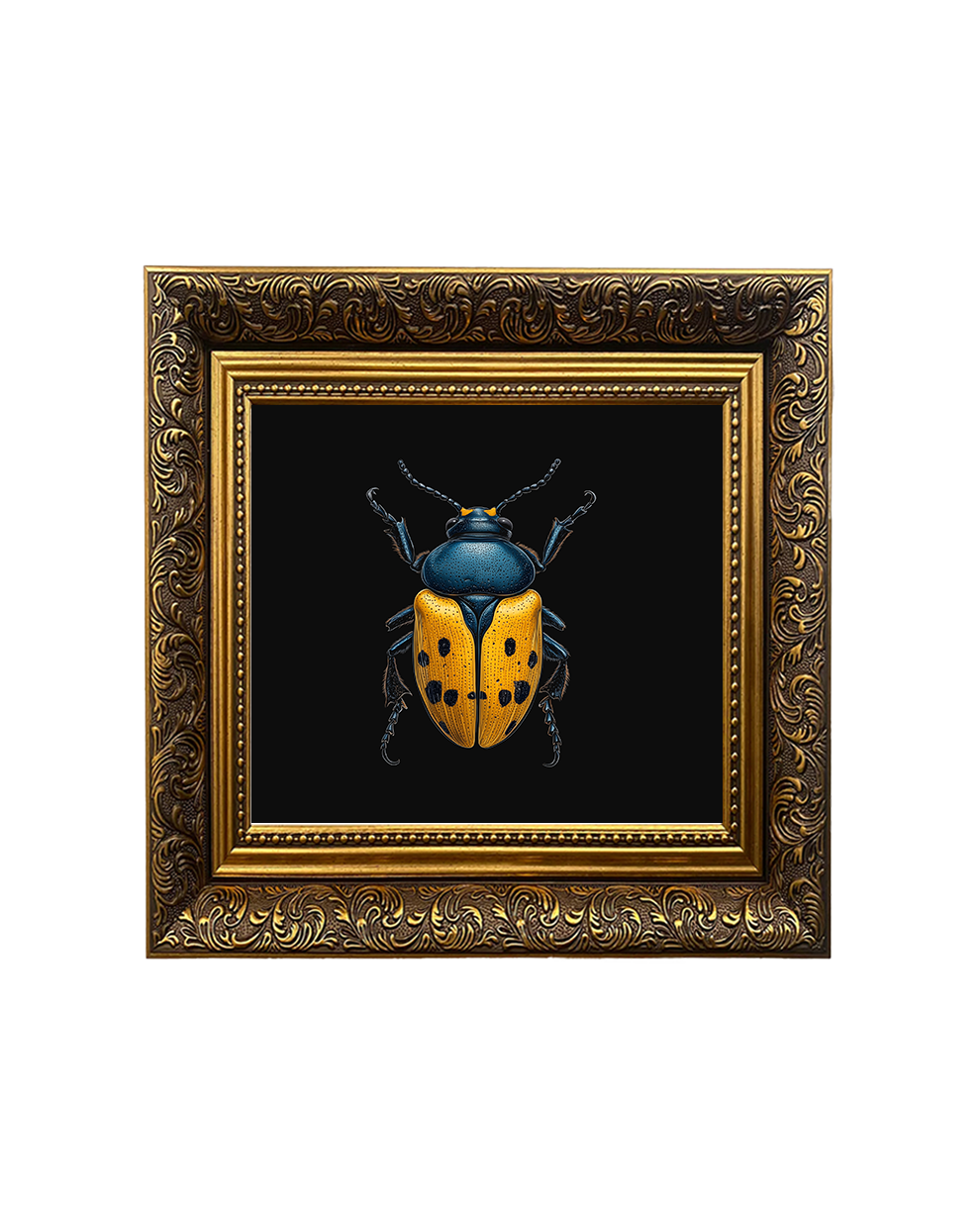 Hercules Beetle (Dynastes hercules), Framed Square Print (15cm x 15cm)