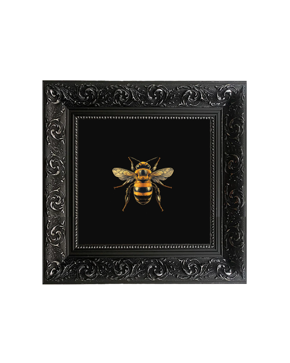 Honey Bee, Framed Square Print (15cm x 15cm)