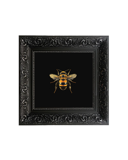 Honey Bee, Framed Square Print (15cm x 15cm)