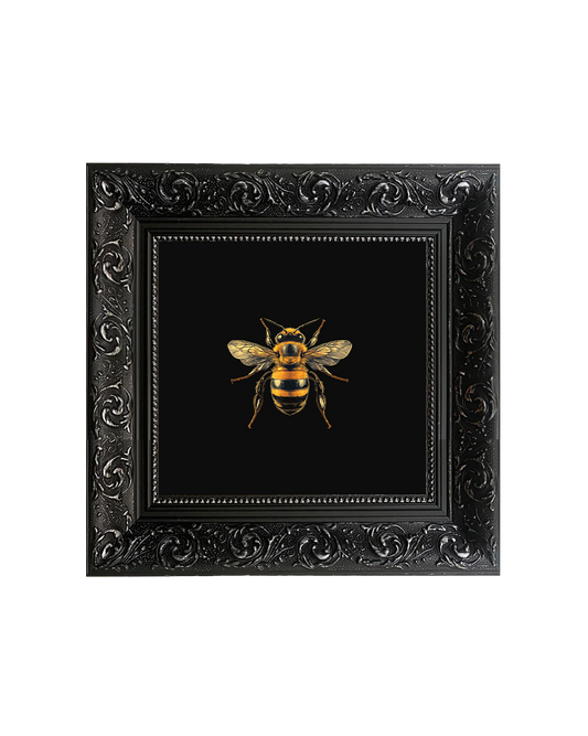 Honey Bee, Framed Square Print (15cm x 15cm)