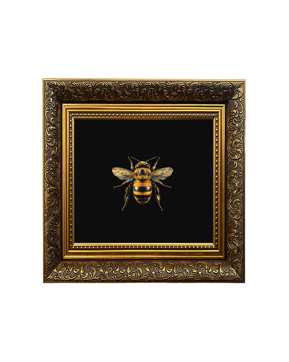 Honey Bee, Framed Square Print (15cm x 15cm)