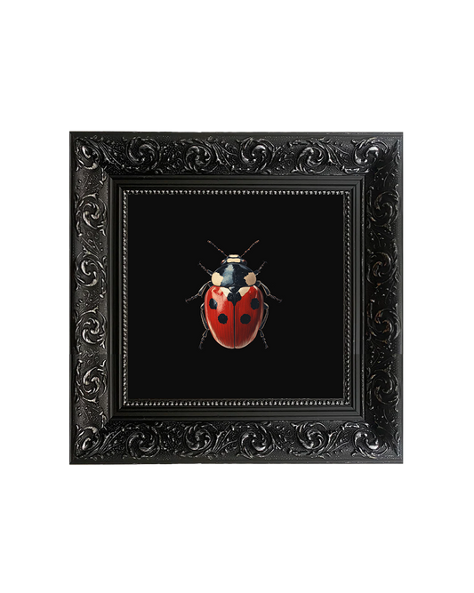 Ladybug, Framed Square Print (15cm x 15cm)