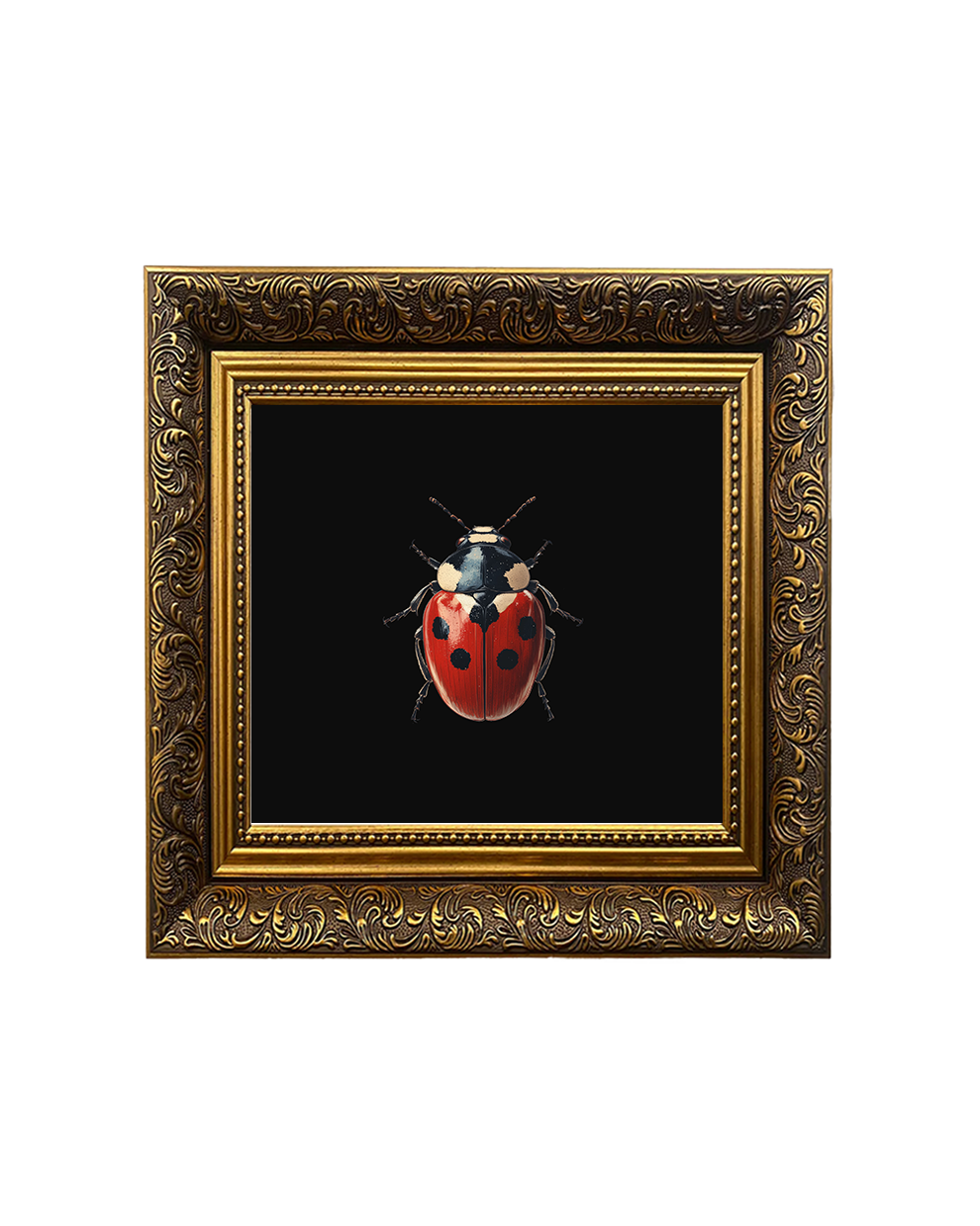 Ladybug, Framed Square Print (15cm x 15cm)