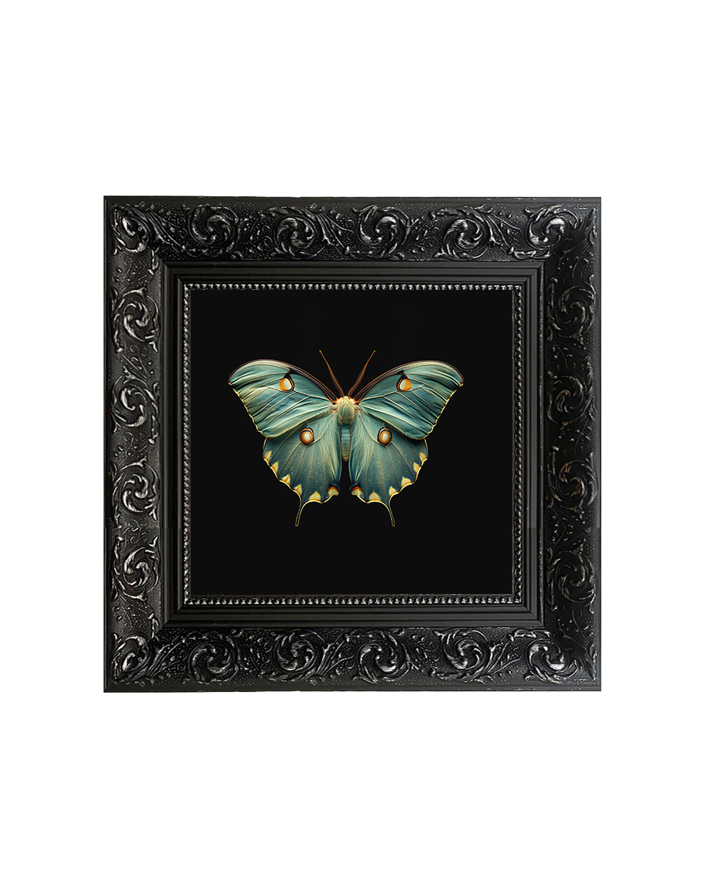 Luna Moth (Actias Luna), Framed Square Print (15cm x 15cm)