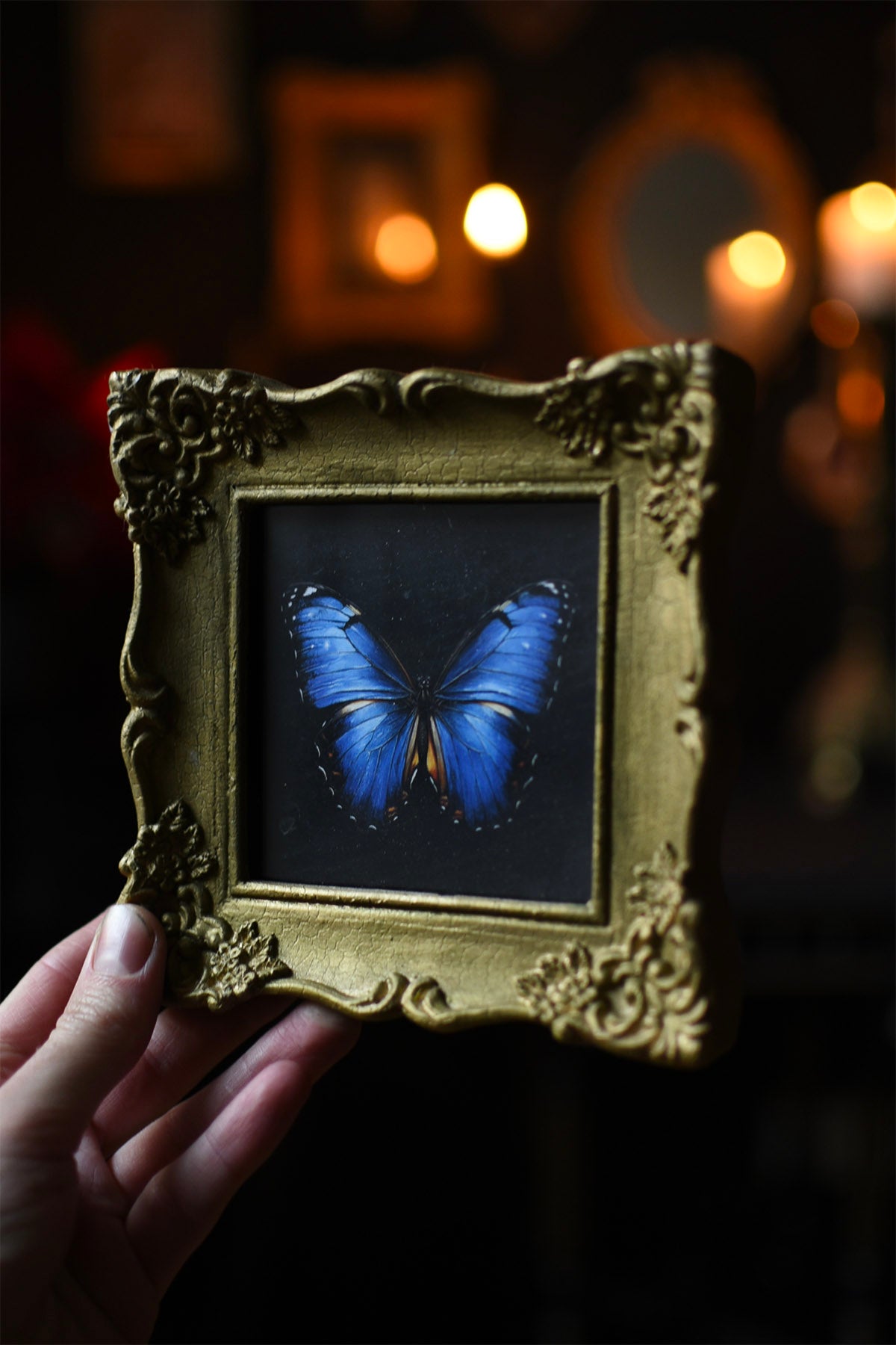 Mini Framed Butterfly Print (One off)