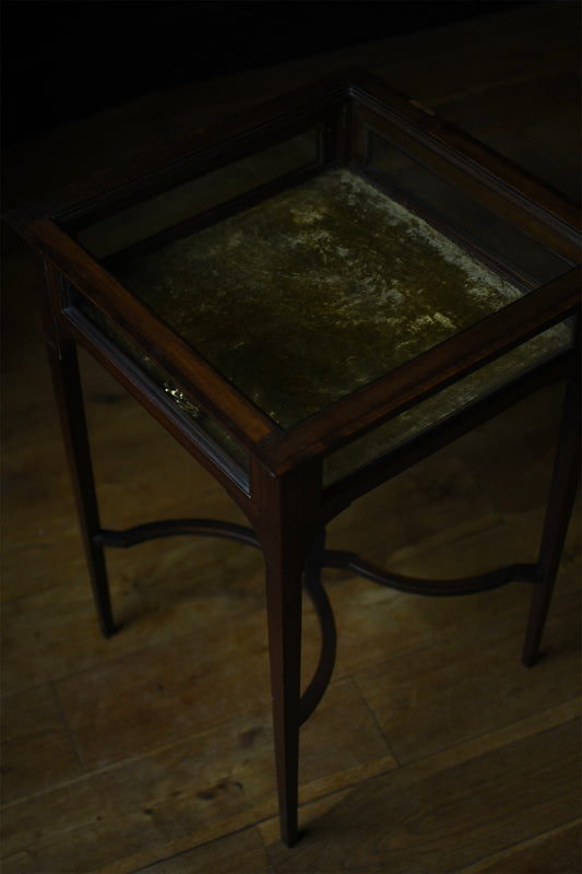 Vitrine Curiosity Display Table