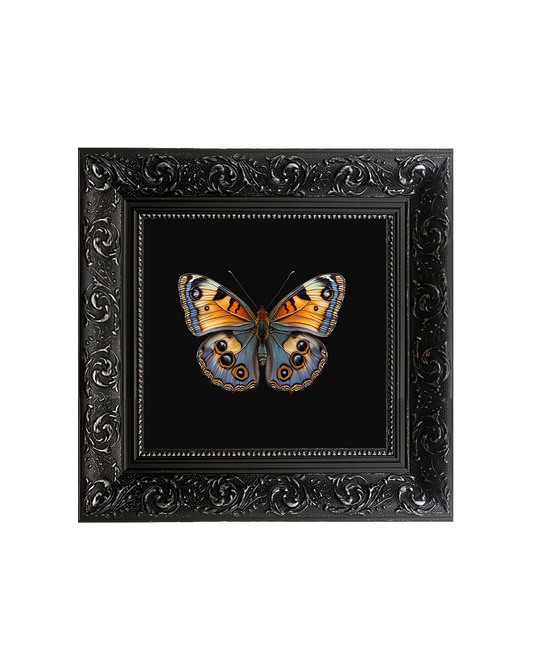 Peacock Butterfly, Framed Square Print (15cm x 15cm)