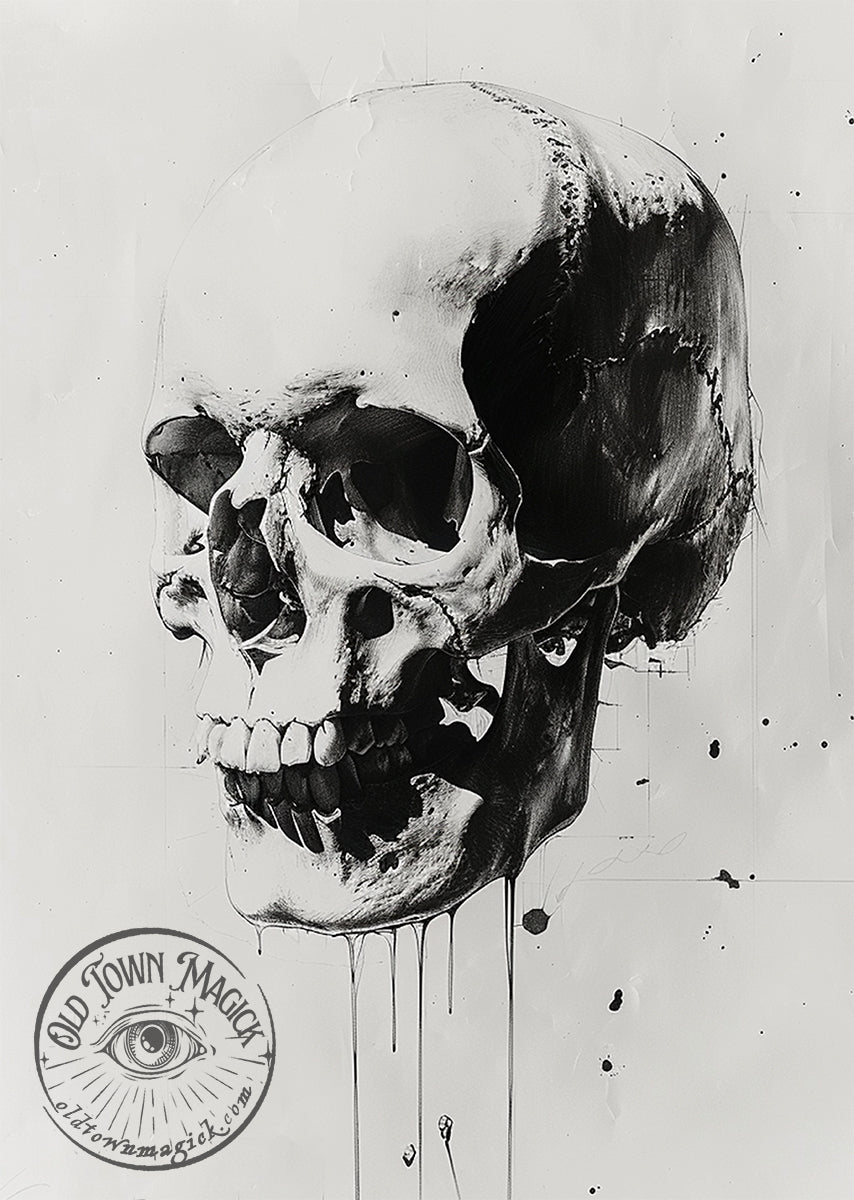 Skull Study 3 Wall Art Print