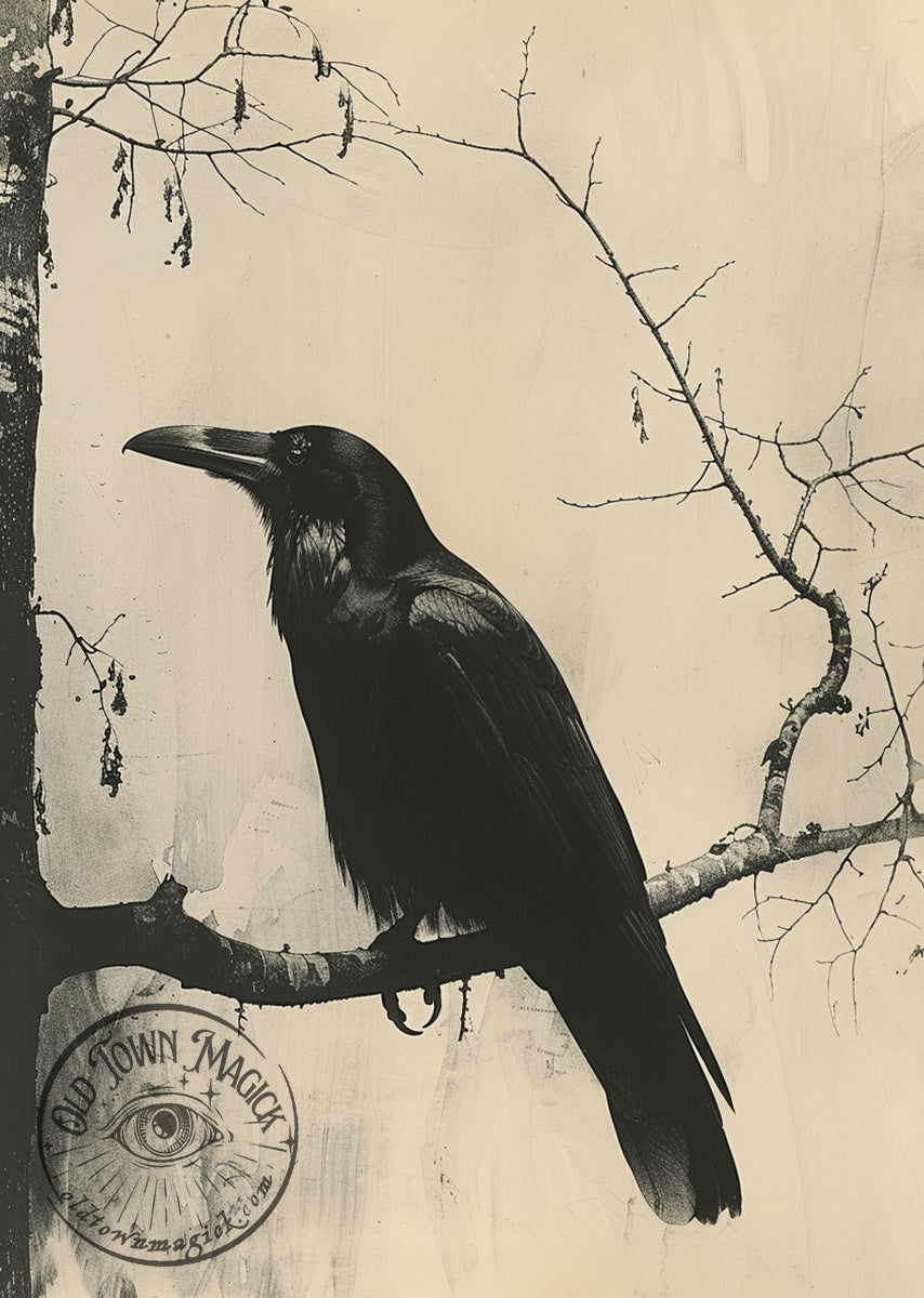 Vintage Sepia Raven Wall Art Print