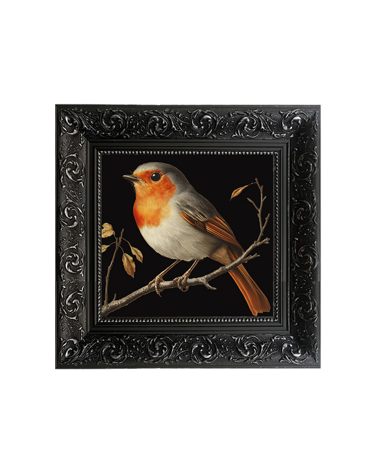 Winter Robin, Framed Square Print (15cm x 15cm)